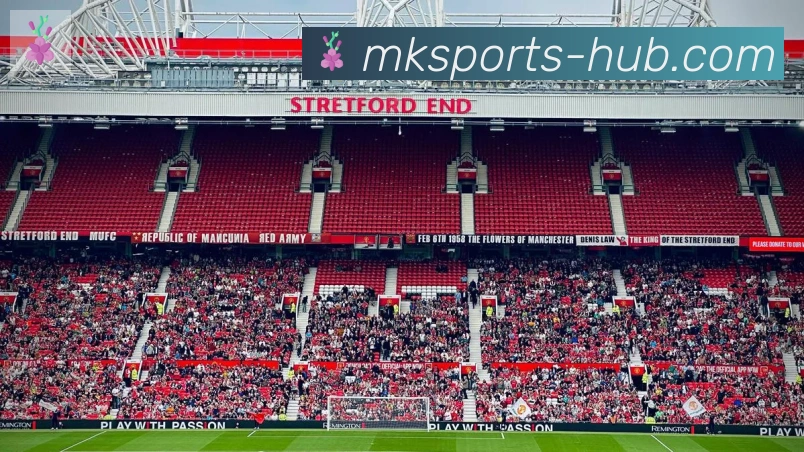 MK体育APP 封面图