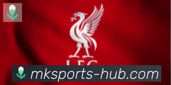 MK体育合作伙伴